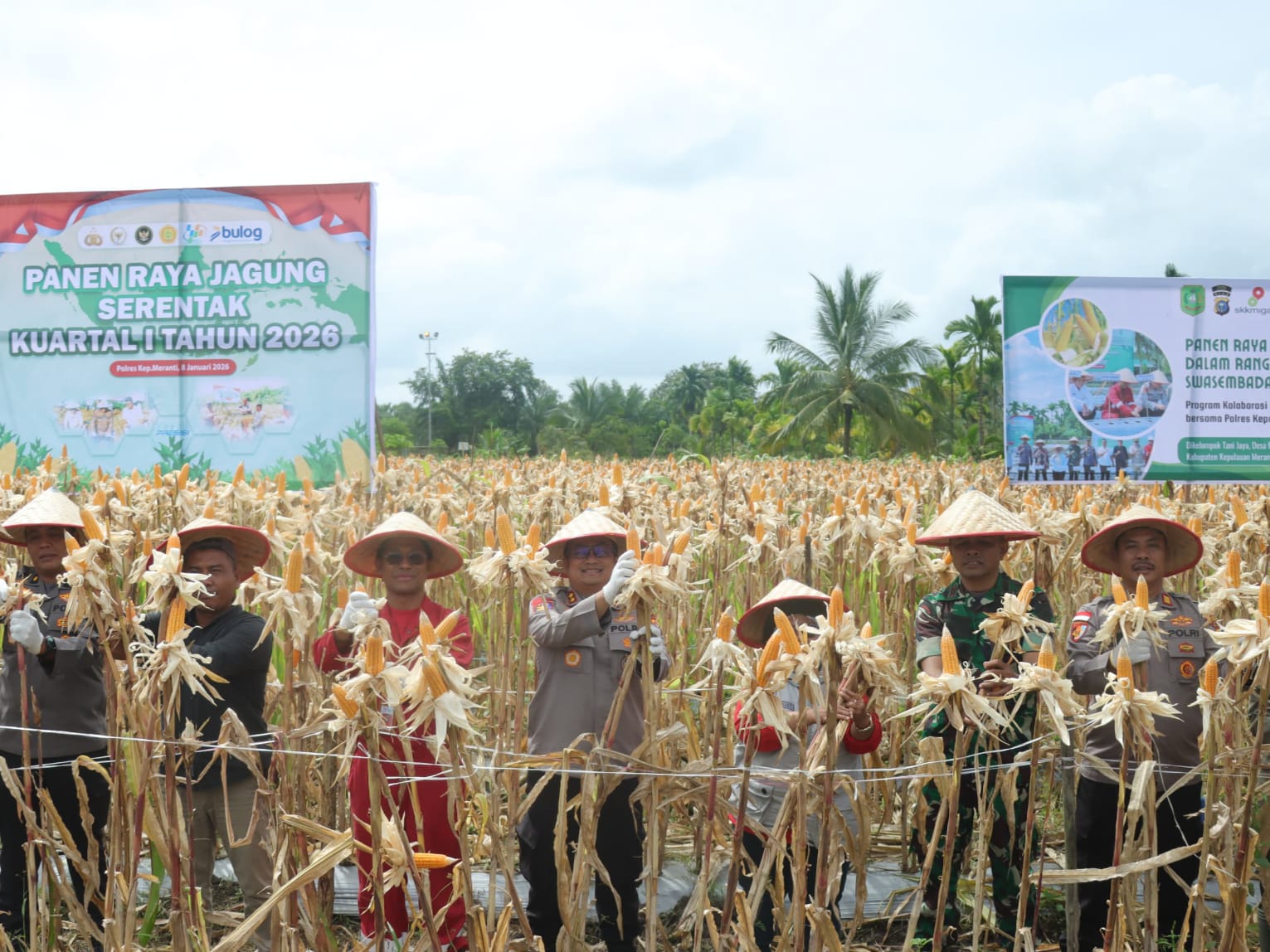 Polres Meranti Panen Raya Jagung Serentak di Bagan Melibur, Perkuat ...