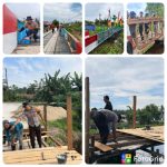 Collage_20260427_074703