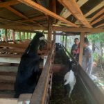 IMG-20260522-WA0042