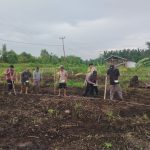 IMG-20260526-WA0021(1)