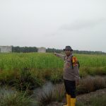 IMG-20260610-WA0004