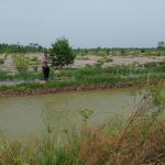 IMG-20260803-WA0009
